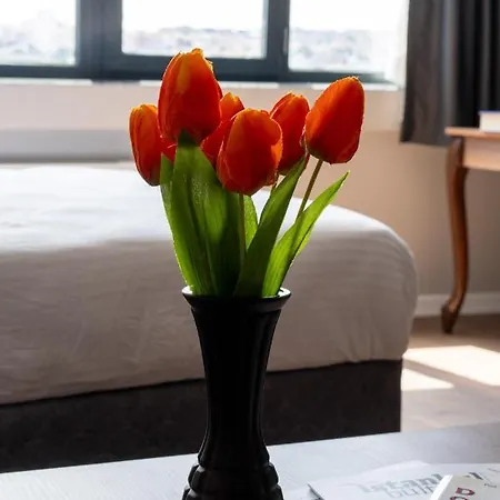 Halic * 伊斯坦布尔