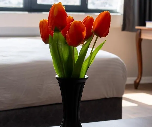 Halic * Κωνσταντινούπολη